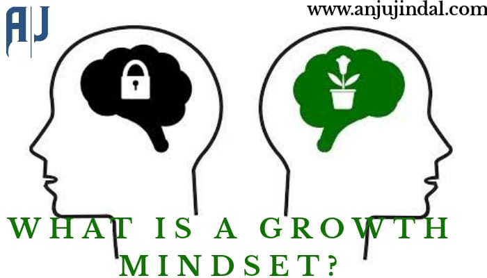 What is a growth mindset?