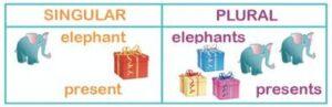 How to form plural of nouns